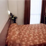 Hotel Hotel Mirandola