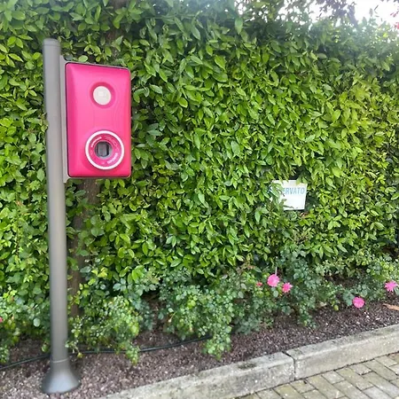 Hotel Mirandola Hotel Mirandola