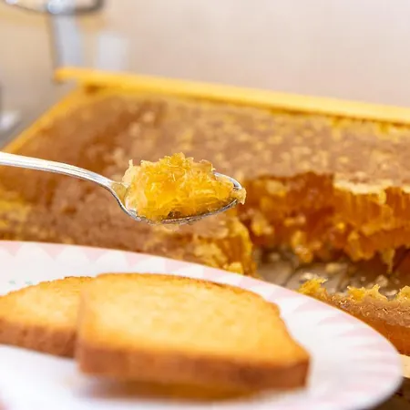 Hotel Mirandola Hotel Mirandola