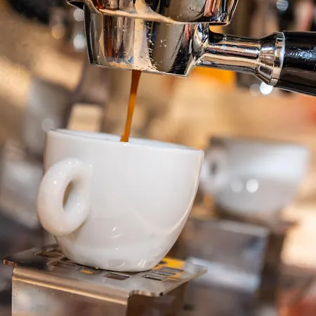 Hotel Hotel Mirandola Mirandola