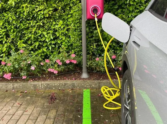 Hotel Hotel Mirandola Mirandola