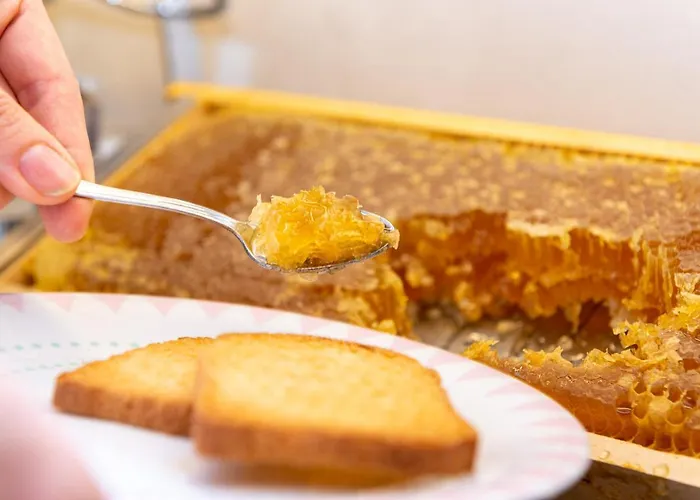 Hotel Mirandola Hotel Mirandola