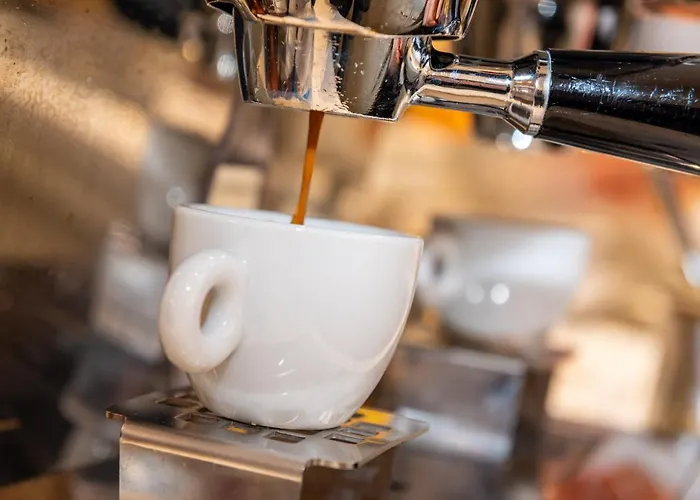 Hotel Hotel Mirandola Mirandola